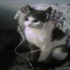 5mewmetinmyheart