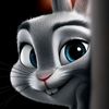 user7416008045855