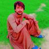malikdanish8070
