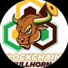blockchainbullhornbackup
