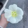 localdoris
