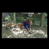 theg_14