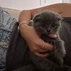 _m_kulieva_1