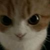 matias_esquizofrenico