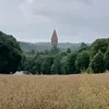 elchileno_2