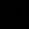 slm.iaa4