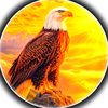 mrawais427