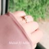 malak.eladlia