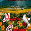 _semira_590