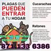 viviana.herrera59