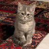 waeam_1234