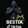 505_bestia