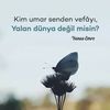yalandnyann.yalan