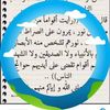 mohnedtakta1