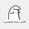 tiktok_e97
