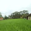 kosongenamdesember_92