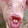 maelatttt
