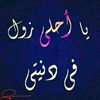 birer.al.siddiq