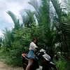 trc.khuong9127
