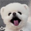 user7287047186258