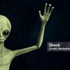 mr.alien6247