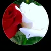 bbsd_12
