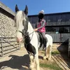 iloveponies92