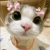 shafiyya.l