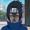bobibotakbiadabb