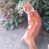 mariya.080404
