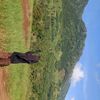 dinda_aa0212
