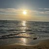 dusty_291