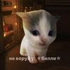 villi_012
