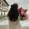 surchi656