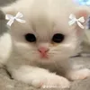 itzme_ren_hi