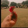 noor.n.queen56