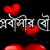 babulpk805