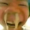 siponbradgustoka