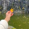 triumphant_4
