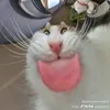 jondacbdv5d