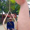pak.acip