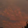leon_iz_brawl_stars123