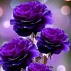 rohimah.rohimah092