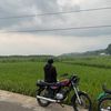 mar_aceng