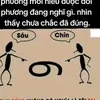 ph.n.vit.nam0