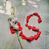 user202425865