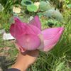soun.chanty69