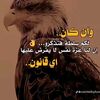 user5810687669141