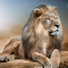 fahad.lashari1