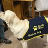 shandythebuddydog